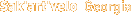 Sak'art'velo  Georgia